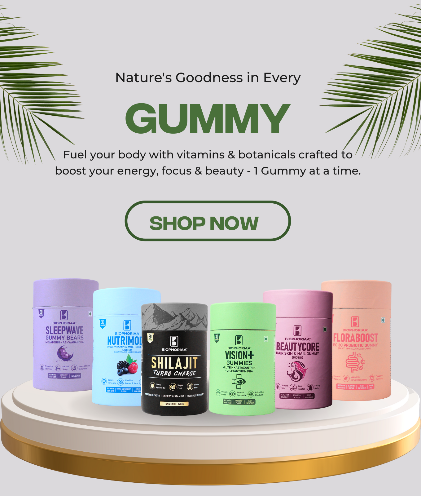 Biophoriaa Gummies: The Smarter, Tastier Way to Upgrade Your Daily Nutrition