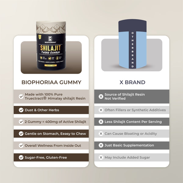 Biophoriaa Shilajit TurboCharge