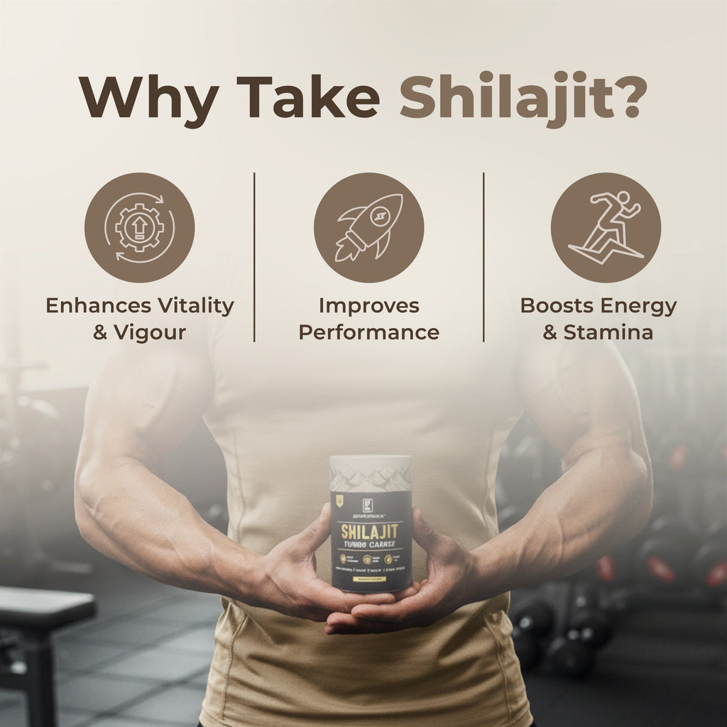 Biophoriaa Shilajit TurboCharge Biophoriaa
