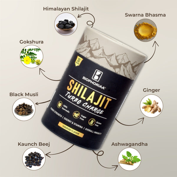 Biophoriaa Shilajit TurboCharge