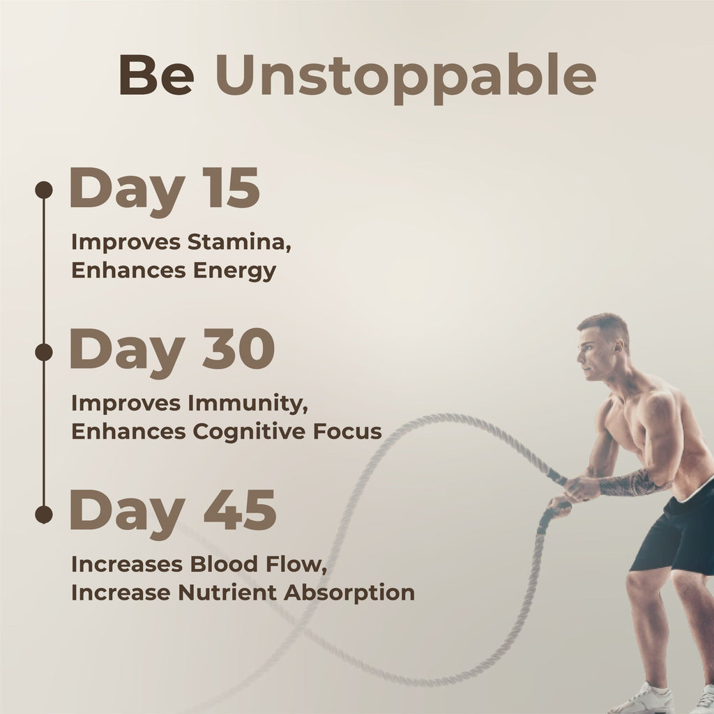Biophoriaa Shilajit TurboCharge Biophoriaa