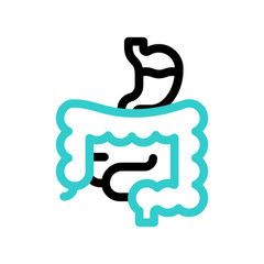 Helps boost Gut Flora