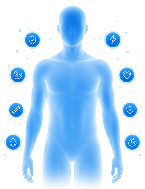 Complete Daily Wellness