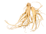 PANAX GINSENG (KOREAN GINSENG)