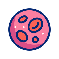 Helps boost Haemoglobin Level